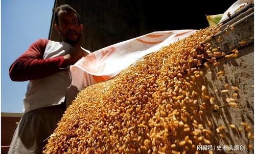 深層戰(zhàn)略還是表象目標？聯合國高官揭露以色列軍事行動的真實意圖